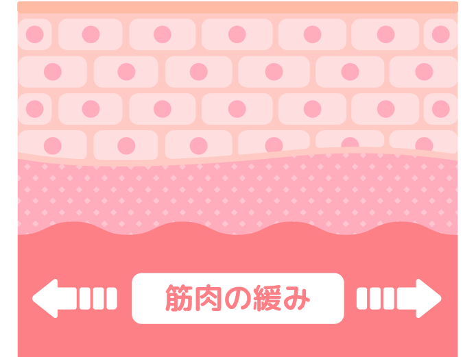 筋肉の緊張が緩和されます